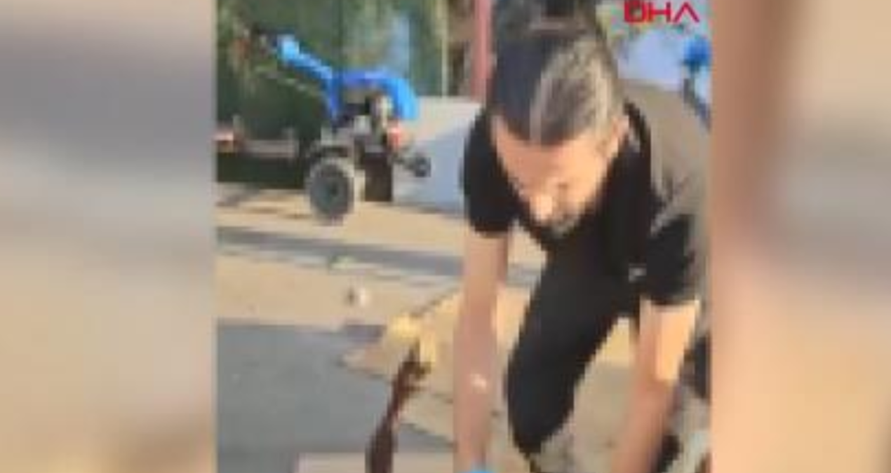 olu koyunun karninda uyusturucu sevkiyati 4rwS9alm