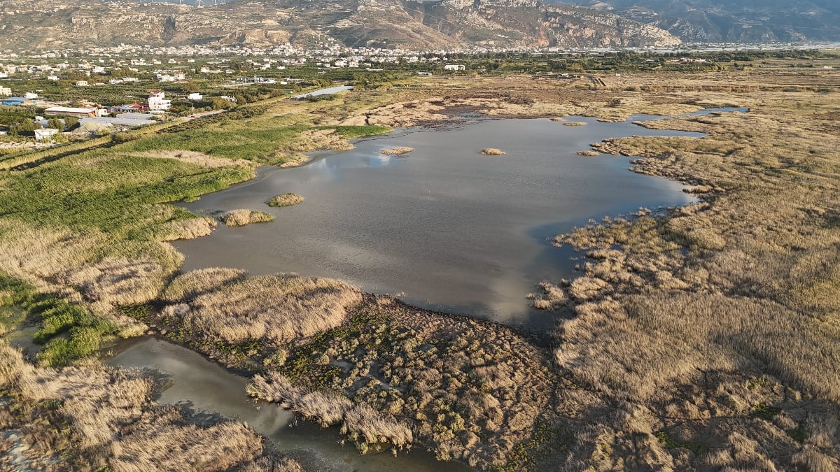 hatayda kurakliktan cole donen milleyhada yagislarla beraber kus sesleri yeniden duyulmaya basladi Ur4ZV2rl.jpg