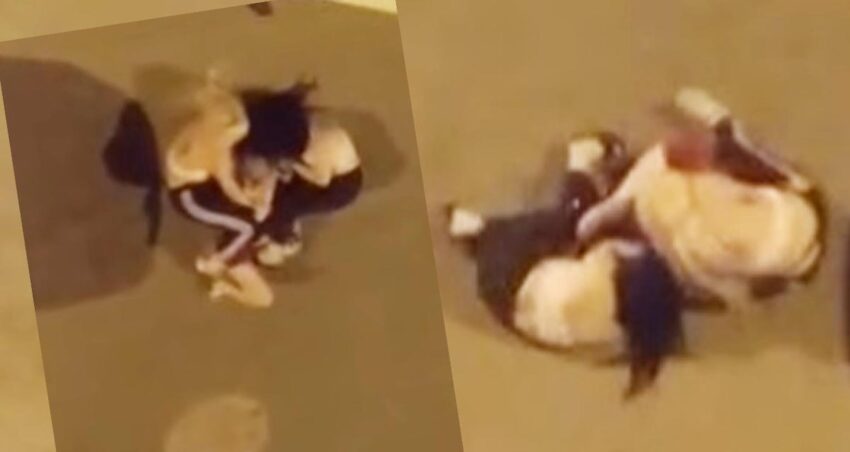 Uc kadin birbirine girdi gece yarisi mahalleyi ayaga kaldirdilar sjrAHrNH